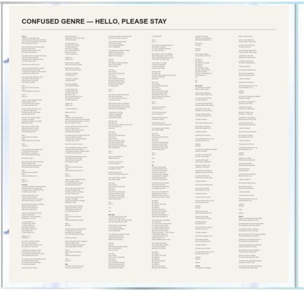 Hello, Please Stay — Lyrics insert